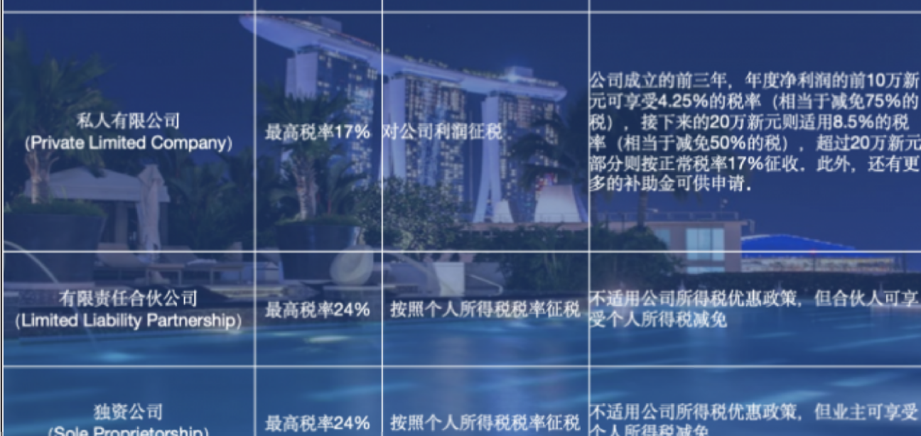 新加坡公司销售税对比